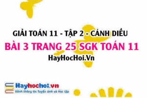 Bài 3 trang 25 Toán 11 tập 2 Cánh Diều